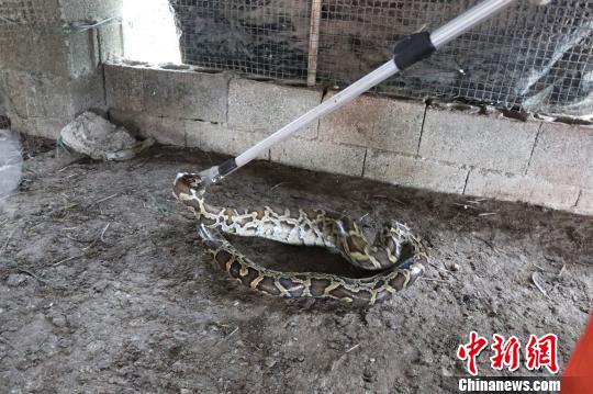 十大外围足球平台app手机版:老北京就是这个味儿,局气! | 跟着电影去旅行(图1) 十大外围足球平台app手机版