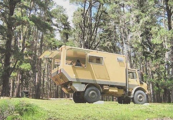 十大外围足球平台app|生物链(图1) 十大外围足球大平台