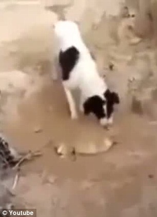 这样的家,才是幸福【十大外围足球平台app】(图2) 十大外围足球大平台