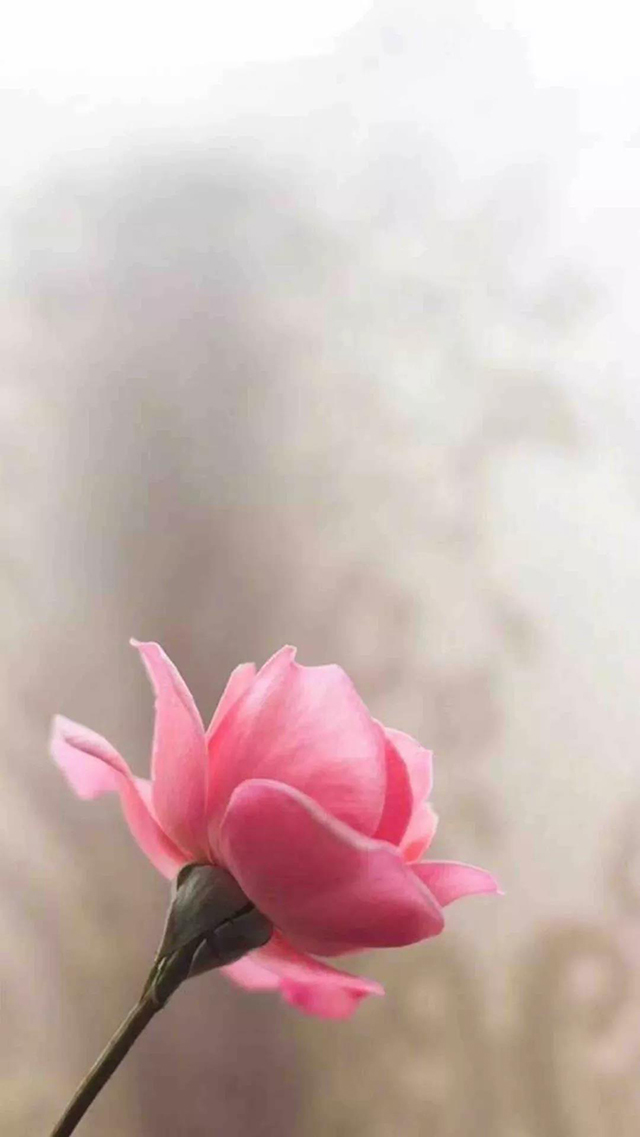 十大外围足球平台app