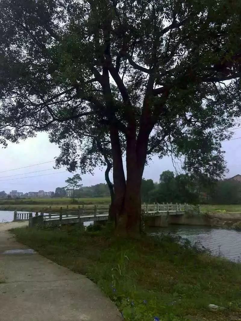 十大外围足球平台app手机版