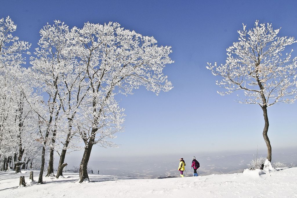 十大外围足球大平台