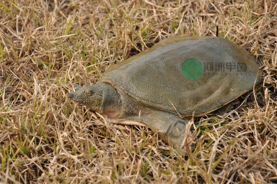 十大外围足球平台app手机版-正能量生活帮我走出焦虑,我想给你这6条建议(图1) 十大外围足球大平台