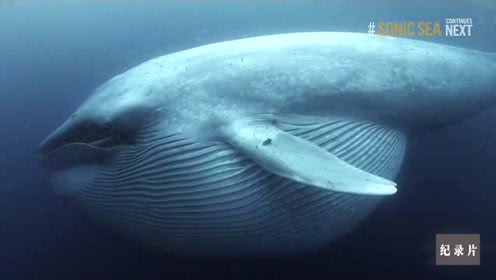 十大外围足球平台app手机版