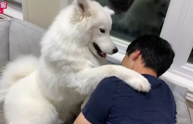 十大外围足球大平台