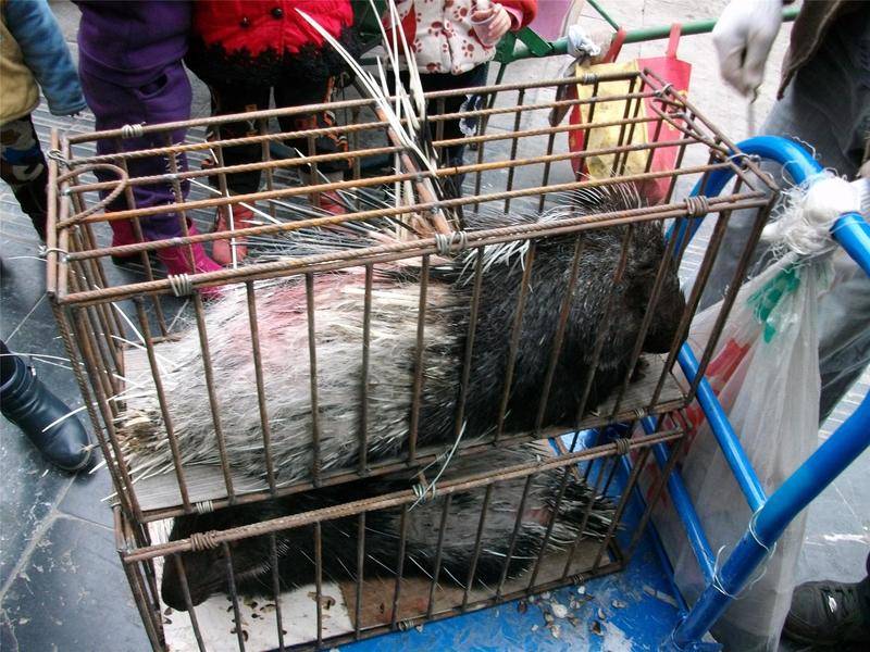 十大外围足球大平台