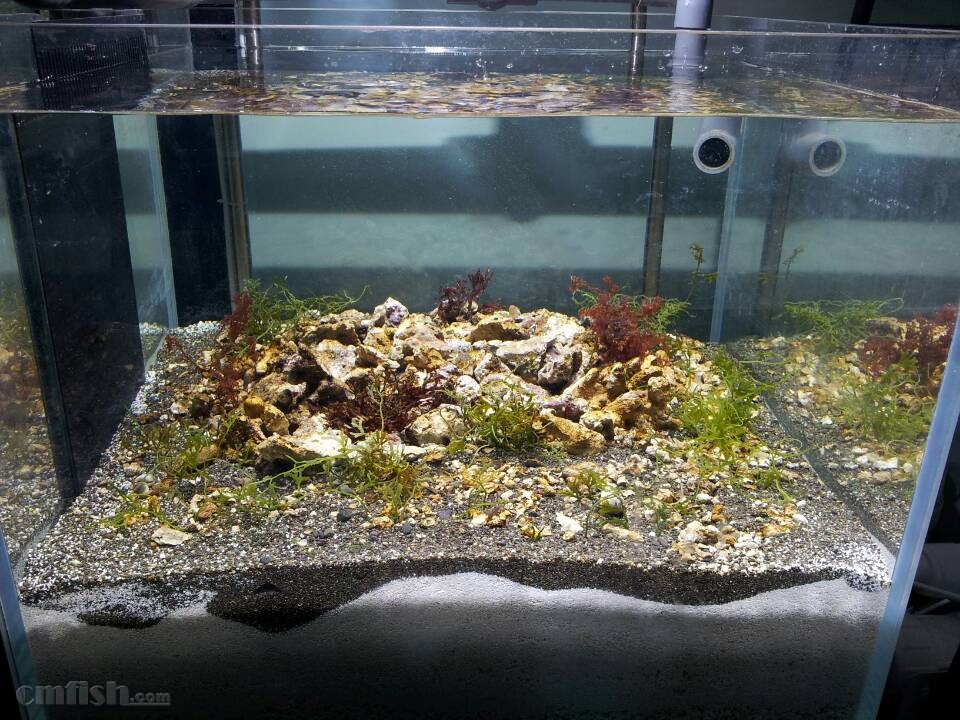 十大外围足球平台app