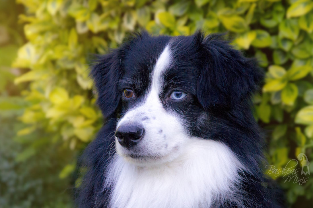 十大外围足球平台app手机版