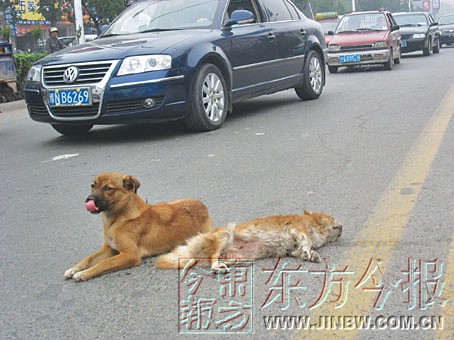 十大外围足球平台app